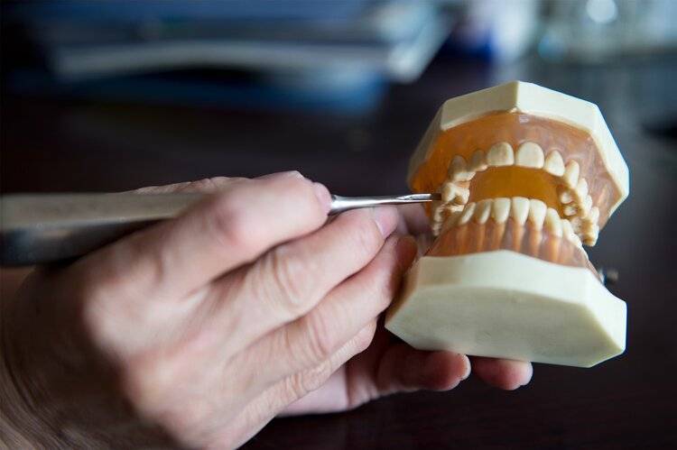 掉牙和寿命有关？60岁的人，牙齿剩多少颗才正常？看看您达标吗？