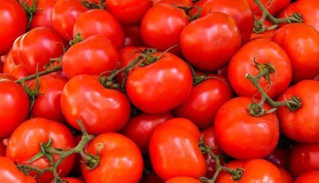 为啥现在番茄都“硬邦邦”的，放几个星期都不坏？原来有“猫腻”